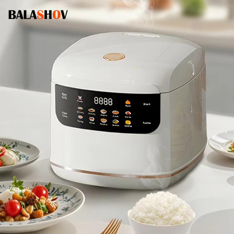 Camping Cooking Rice - MultiCooker Electric Rice Cooker 110V 220V