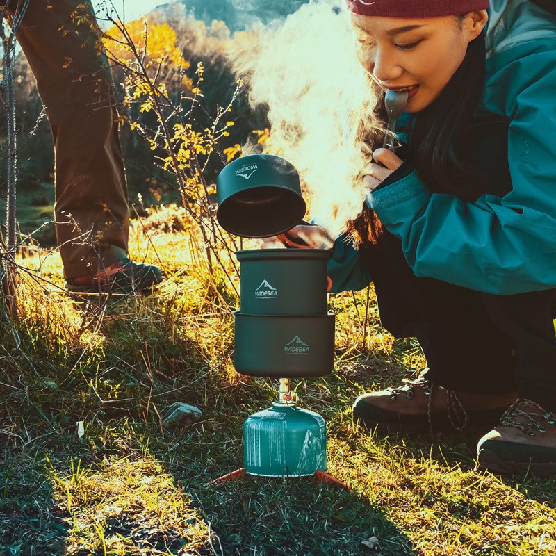 Widesea Portable Camping Stove - Camping Cooking All In One 评论和价格