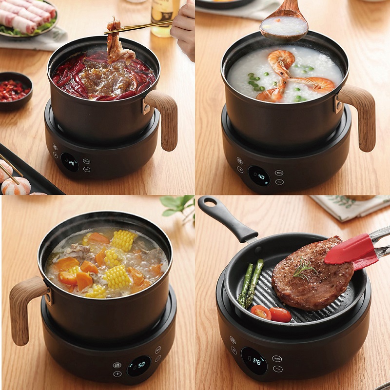 110V/220V Multi-function Elect - Camping Cooking Rice 评论和价格