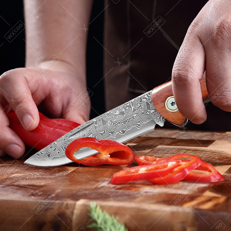 WXCOO Folding Knife Pocket Kni - Camping Cooking Knife 评论和价格